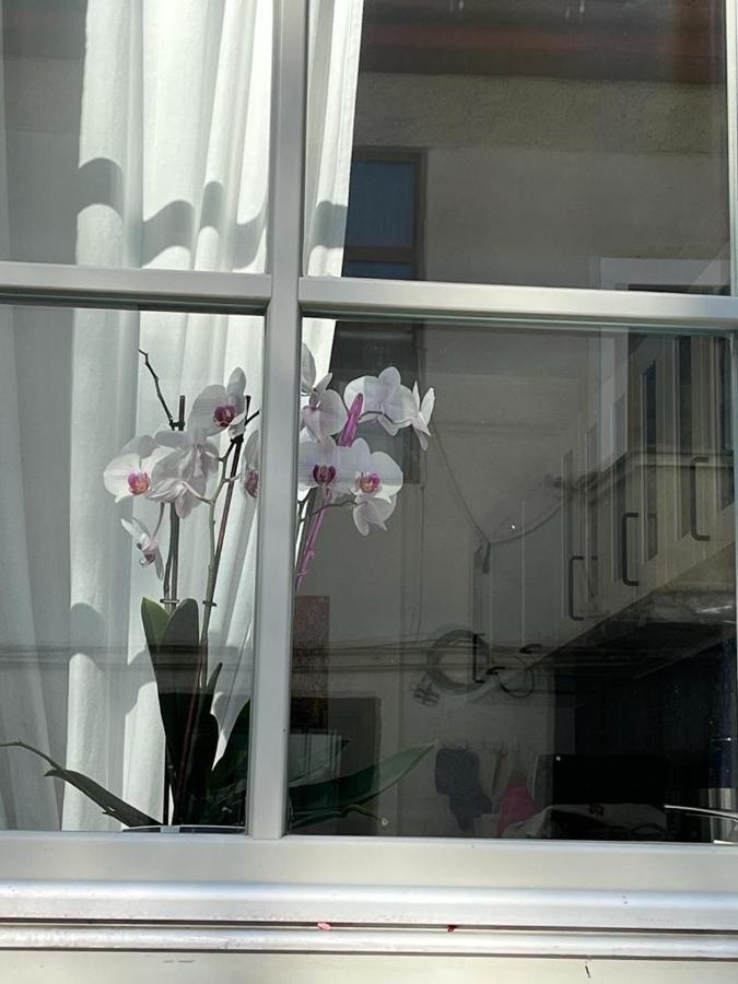 Tampa Residence Brasov Luaran gambar